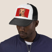 Duits Pinscher Color Block Trucker Pet (In situ)