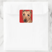 Duits Pinscher Color Block Vierkante Sticker (Tas)