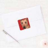 Duits Pinscher Color Block Vierkante Sticker (Envelop)