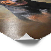 Duits Pinscher Foto Afdruk (Hoek)