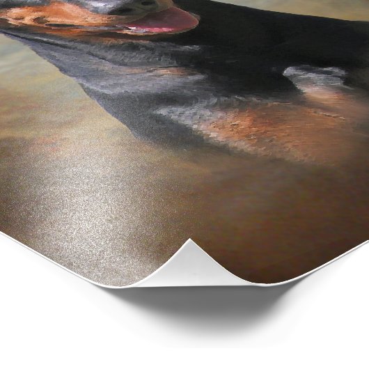 Duits Pinscher Foto Afdruk (Hoek)