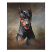 Duits Pinscher