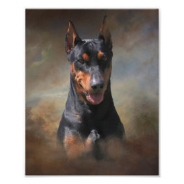 Duits Pinscher Foto Afdruk
