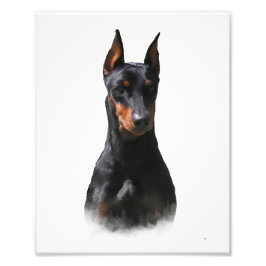 Duits Pinscher Foto Afdruk
