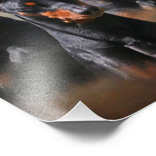 Duits Pinscher Foto Afdruk (Hoek)