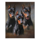 Duits Pinscher Foto Afdruk (Voorkant)