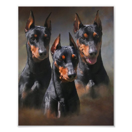 Duits Pinscher Foto Afdruk (Voorkant)