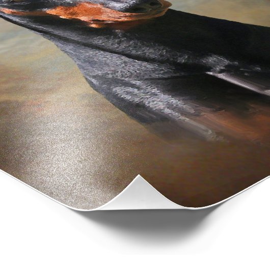 Duits Pinscher Foto Afdruk (Hoek)