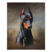 Duits Pinscher Foto Afdruk (Voorkant)