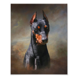 Duits Pinscher Foto Afdruk