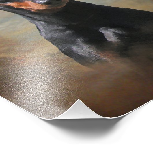 Duits Pinscher Foto Afdruk (Hoek)