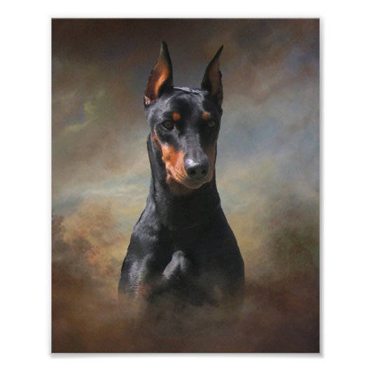 Duits Pinscher Foto Afdruk (Voorkant)