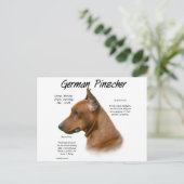 Duits Pinscher Geschiedenis Ontwerp Briefkaart (Staand voorkant)