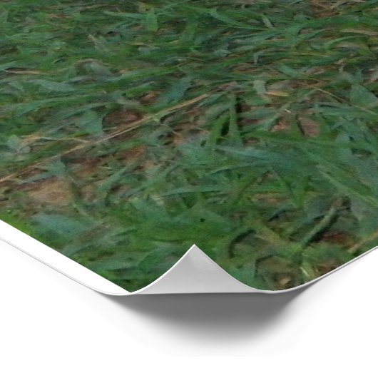 Duits Poster Shepherd (Hoek)