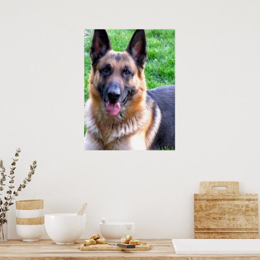 Duits Poster Shepherd (Keuken)