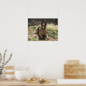Duits Poster Shepherd (Keuken)