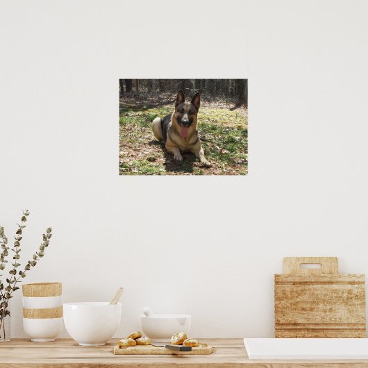 Duits Poster Shepherd (Keuken)