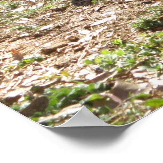 Duits Poster Shepherd (Hoek)