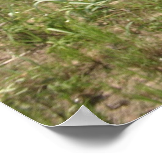 Duits Poster Shepherd (Hoek)