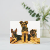 Duits puppy briefkaart (Staand voorkant)