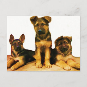 Duits puppy briefkaart