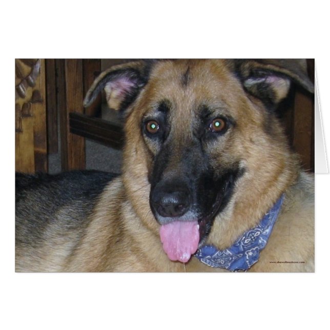 Duits Shepherd Bandana - Ranch Hondenliefhebber Bl (Voorkant Horizontaal)