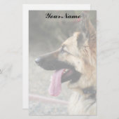 Duits Shepherd Briefpapier (Voorkant / Achterkant)