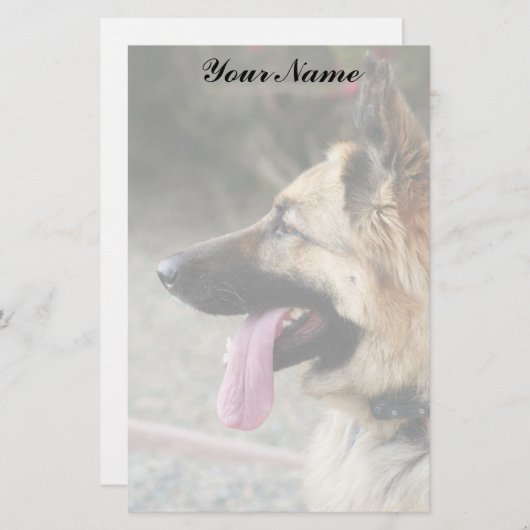 Duits Shepherd Briefpapier (Voorkant / Achterkant)