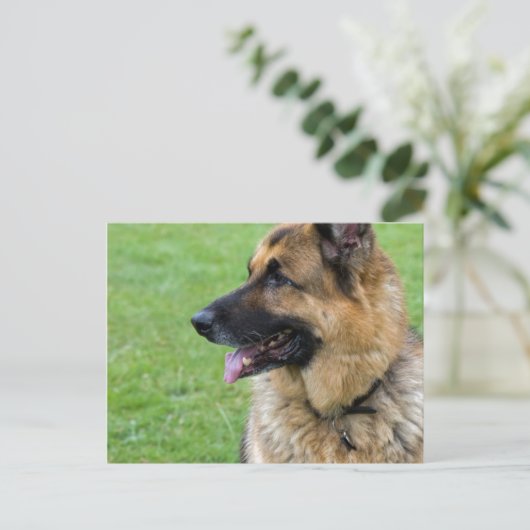 Duits Shepherd Profile Briefkaart (Staand voorkant)