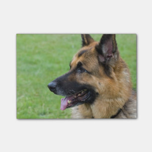 Duits Shepherd Profile Post-it® Notes