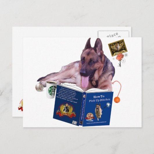 Duits Shepherd Reading Book Briefkaart (Voorkant / Achterkant)