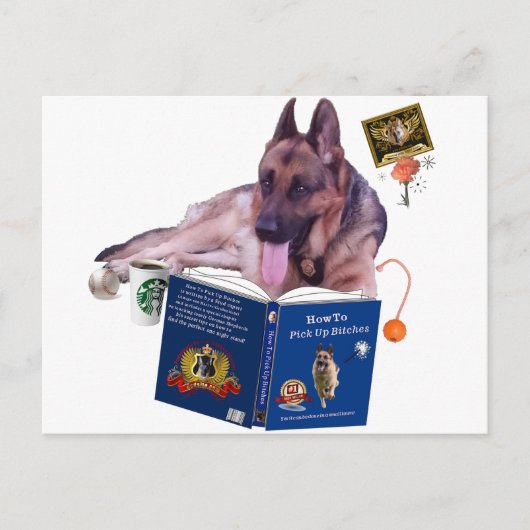 Duits Shepherd Reading Book Briefkaart (Voorkant)