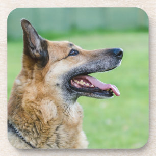 Duits Shepherd Side Portret Bier Onderzetter