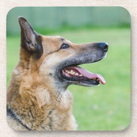Duits Shepherd Side Portret Bier Onderzetter (Voorkant)
