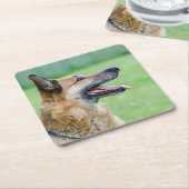 Duits Shepherd Side Portret Kartonnen Onderzetters (Schuin)