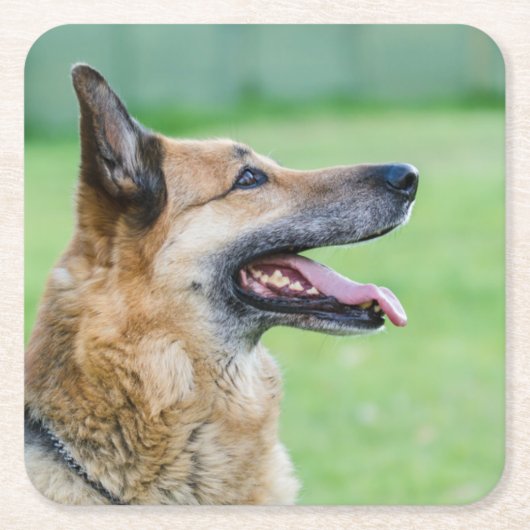 Duits Shepherd Side Portret Kartonnen Onderzetters (Voorkant)