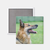 Duits Shepherd Side Portret Magneet (Voorkant / Achterkant)