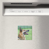 Duits Shepherd Side Portret Magneet (Insitu (Vaatwasser))