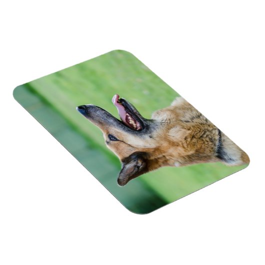 Duits Shepherd Side Portret Magneet (Rechterzijde)
