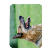 Duits Shepherd Side Portret Magneet (Verticaal)