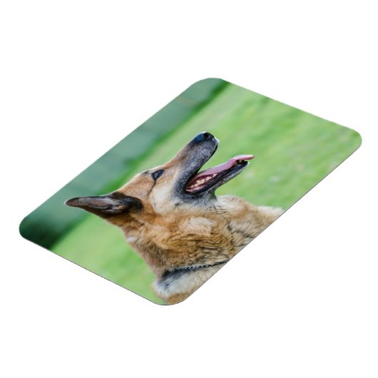 Duits Shepherd Side Portret Magneet (Linkerzijde)