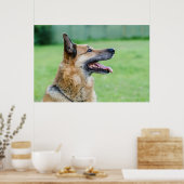 Duits Shepherd Side Portret Poster (Keuken)