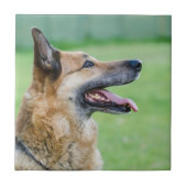 Duits Shepherd Side Portret Tegeltje (Voorkant)