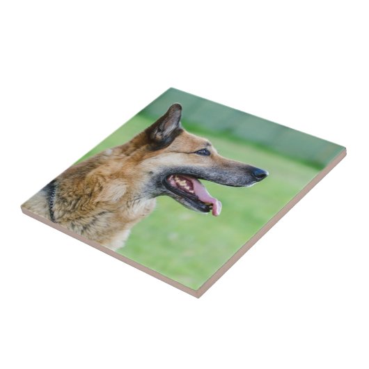 Duits Shepherd Side Portret Tegeltje (Zijkant)