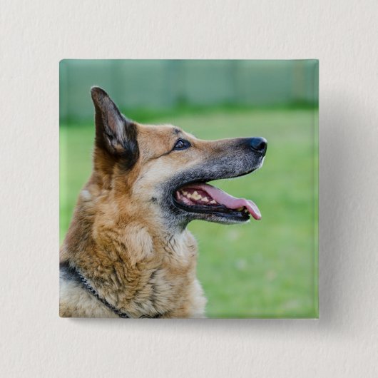 Duits Shepherd Side Portret Vierkante Button 5,1 Cm (Voorkant)