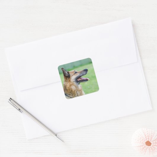 Duits Shepherd Side Portret Vierkante Sticker (Envelop)