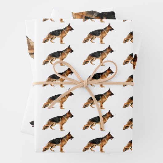 Duits Shepherd Wrapping Paper (In situ)