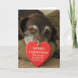 Duits Shorthaired Merry kerst Nieuw Adres Feestdagen Kaart