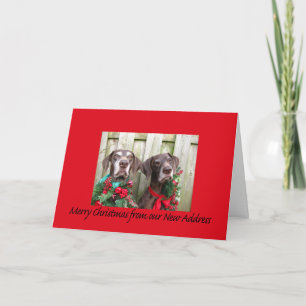 Duits Shorthaired Merry kerst Nieuw Adres Feestdagen Kaart