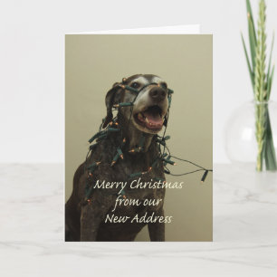 Duits Shorthaired Merry kerst Nieuw Adres Feestdagen Kaart